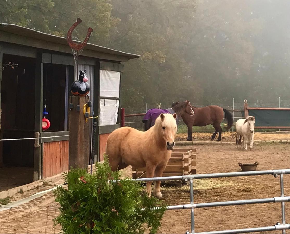 Ferienwohnung Scherr Neunburg vorm Wald Luaran gambar